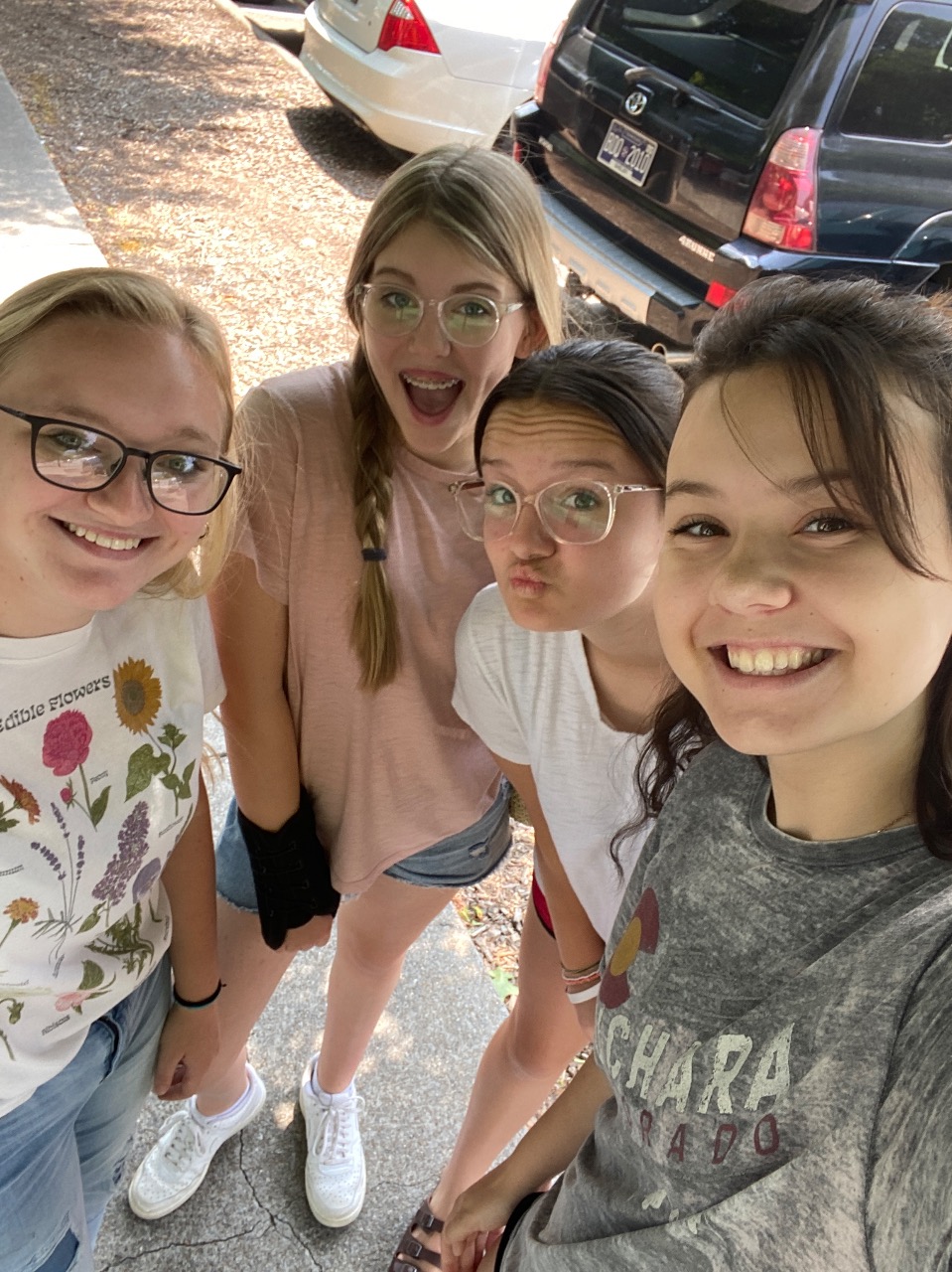 Puzzling Adventures near Pineoak Heights