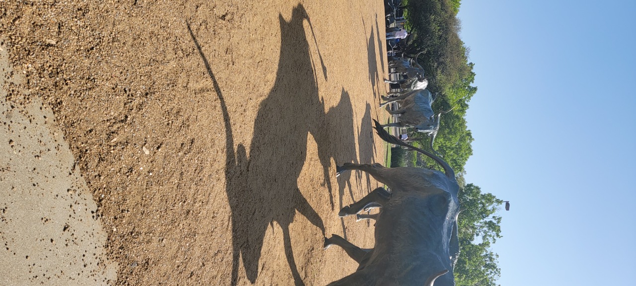 Puzzling Adventures near Oak Cliff